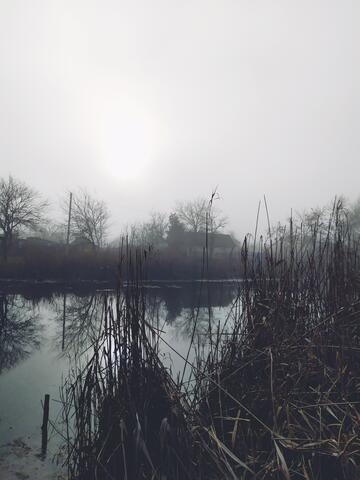 Рыбалка в тумане