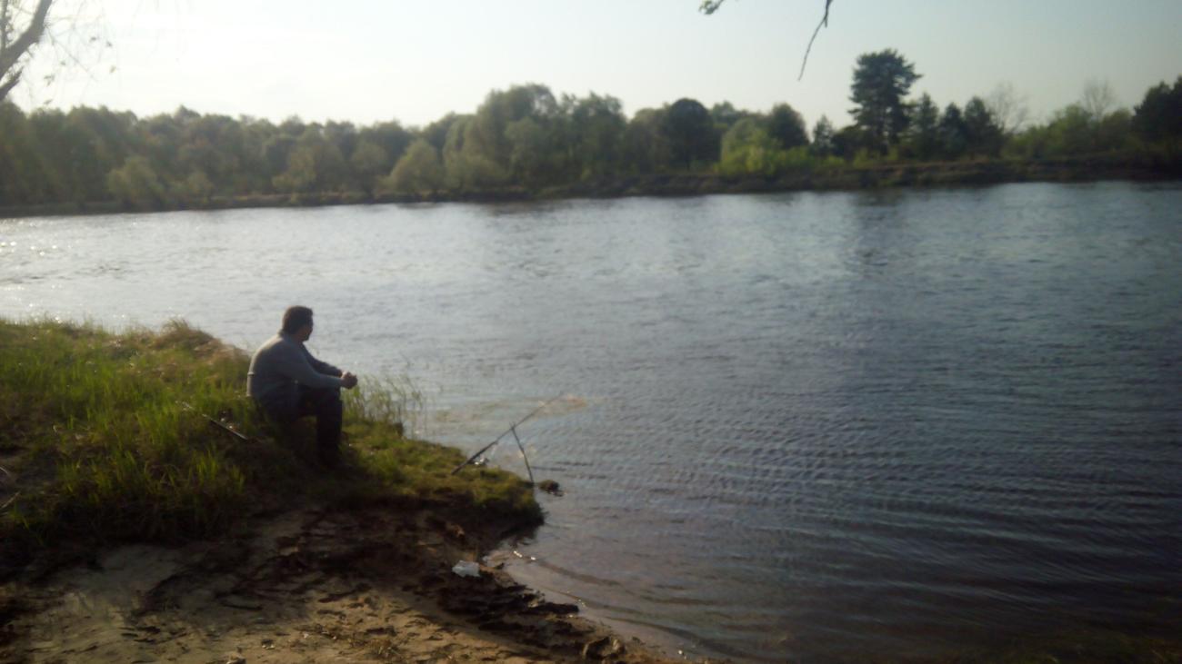 Рыбалка на реке Луга
