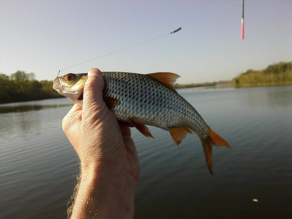 Рыбалка на реке Сосыка в окрестностях хутора Куликовского