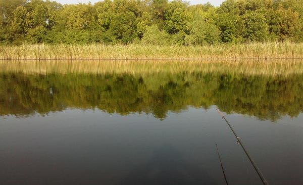 Рыбалка на Сталинском пруду