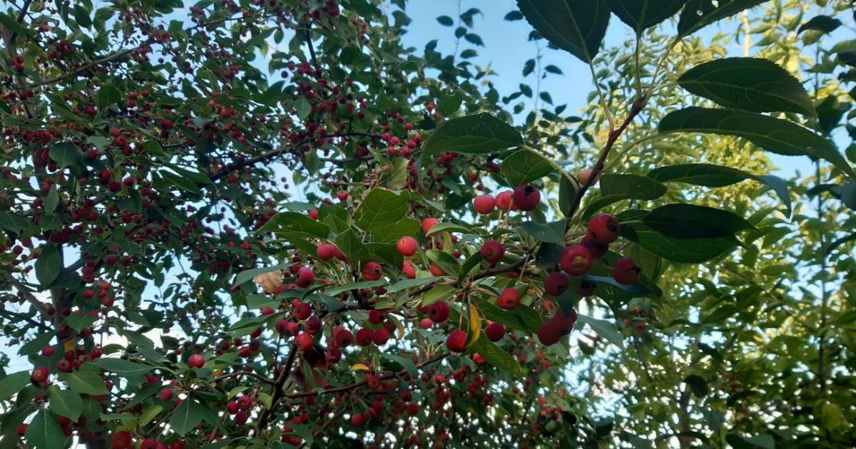 Какая осень нас ждёт