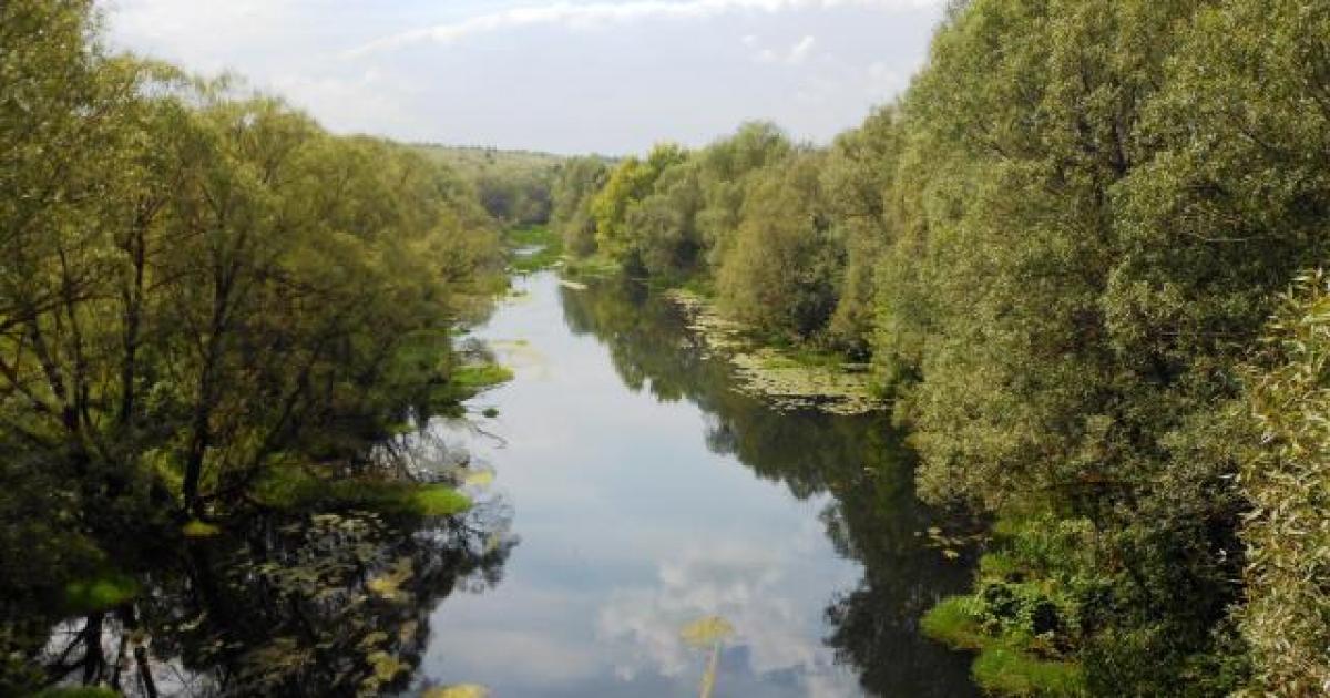 река в Орловской области