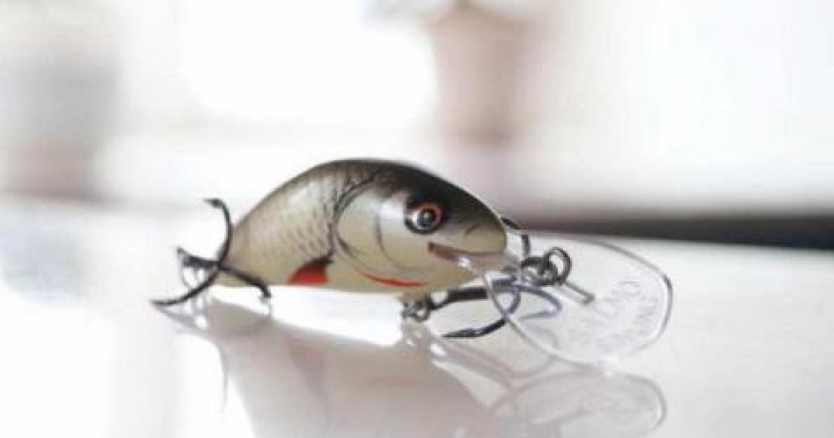 Salmo Hornet