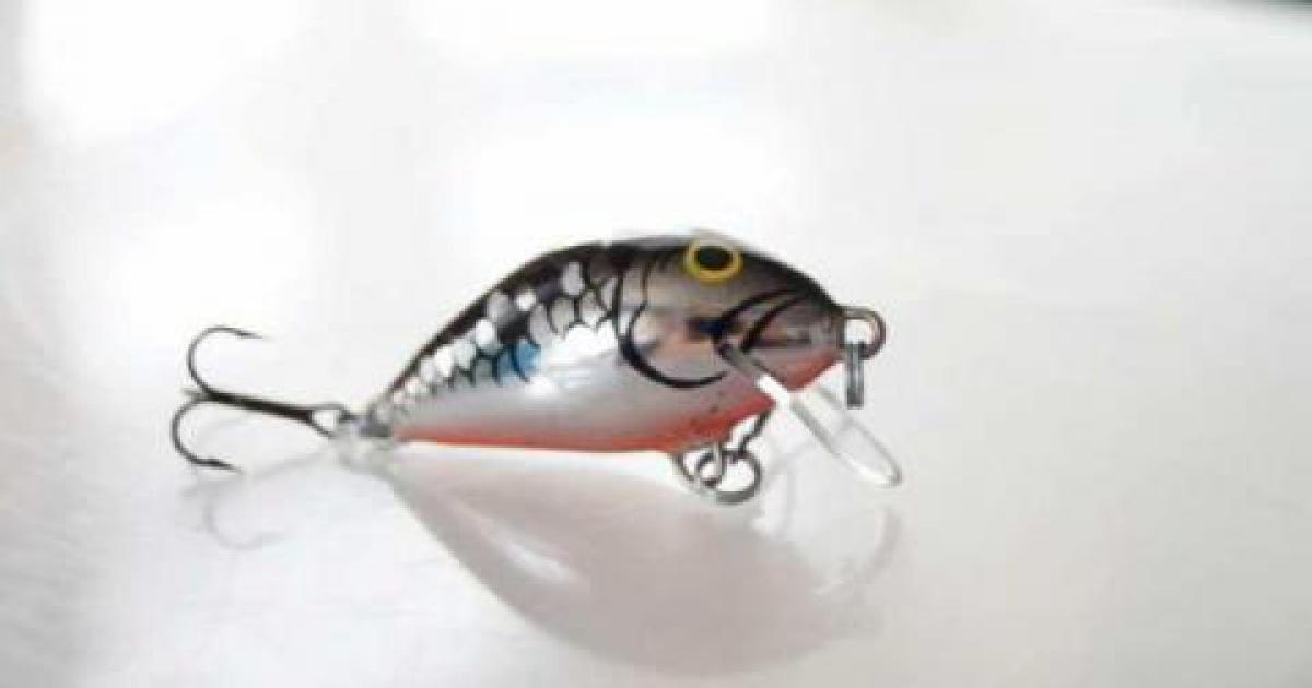 Salmo Tiny