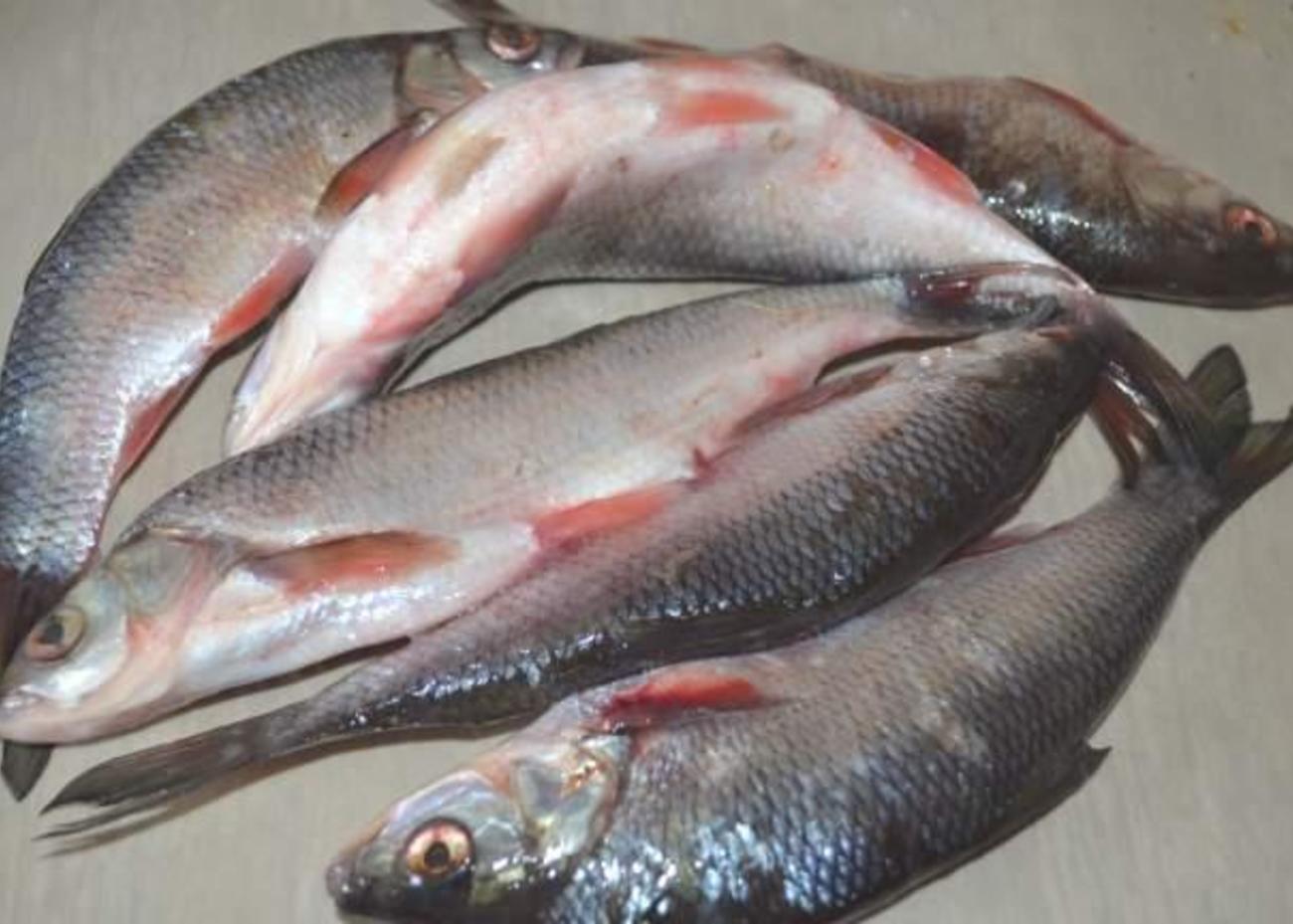 речная рыба мелкая рецепты | Дзен