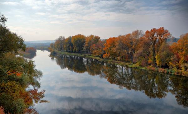 Осенняя река и лес