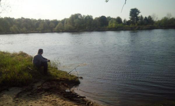 Рыбалка на реке Луга