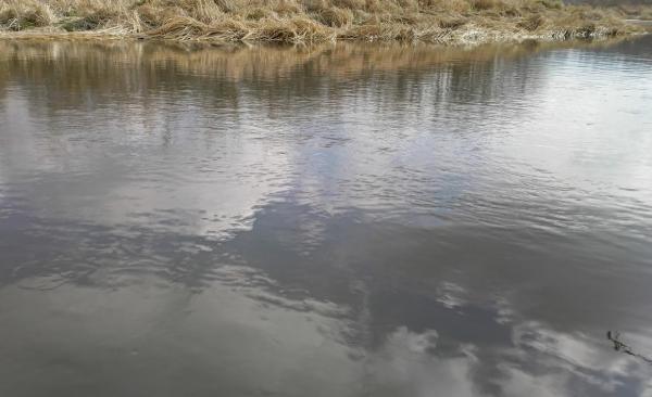 Уклейка по холодной воде. Отчет о рыбалке