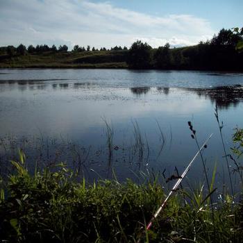 Ловля карася летом: рыбалка в густой траве на поплавочную удочку