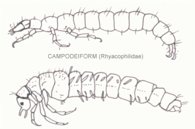 Автор: Halvard : Halvard Hatlen, from Norway. - A drawing by Halvard from Norway., Общественное достояние, https://commons.wikimedia.org/w/index.php?curid=727209