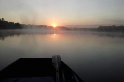 Утро на водоёме Трояновского