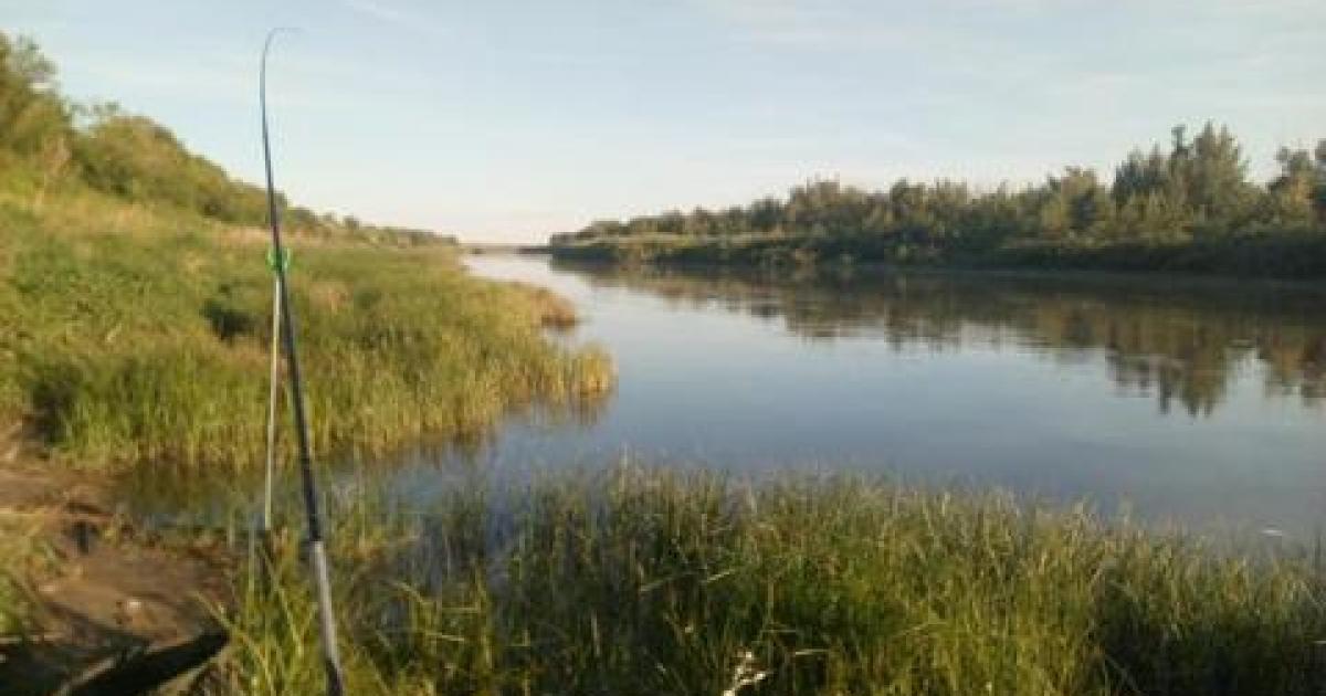 Ловля на фидер