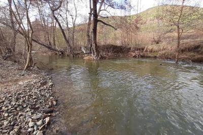Нерест: особенности поведения рыб пресных водоемов